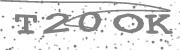 Type the letters in the image or Type the first letter of the words spoken in the audio.